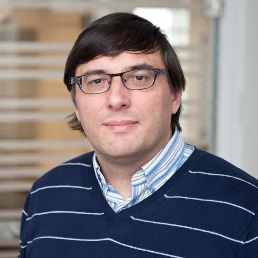 Professor Piet Lens